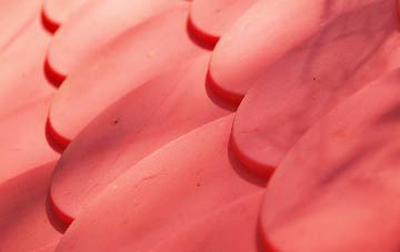 Little Houghton plastic roof costs